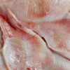Skinless Raywings