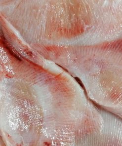 Skinless Raywings