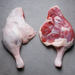 Duck Leg