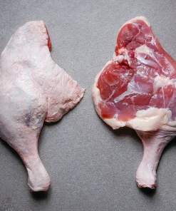 Duck Leg