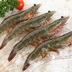 Vannamei Shrimp