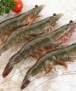 Vannamei Shrimp