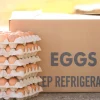 Fresh Eggs