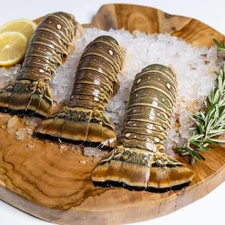 Lobster Tail
