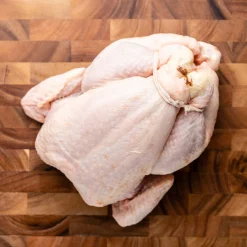 Bronze Turkey