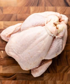 Bronze Turkey