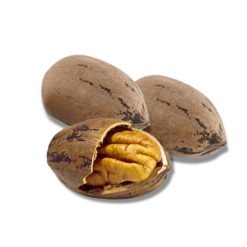Peacan Nut