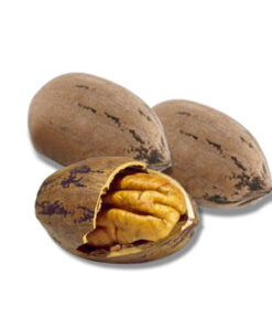 Peacan Nut