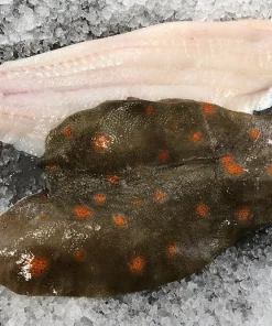 Plaice Steaks