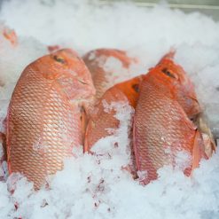 Whole Frozen Red Snapper