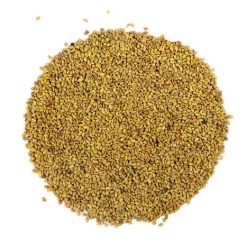 Organic Alfalfa Sprout Seeds