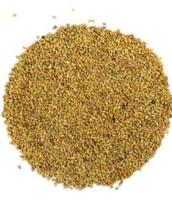 Organic Alfalfa Sprout Seeds