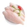Frozen Pangasius fillets