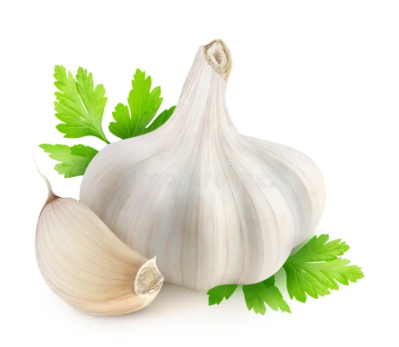 garlic-parsley-over-white-background-31890319
