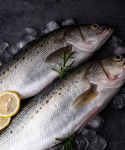 Whole Frozen Robalo