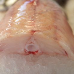 Monk Fish Fillets