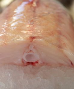 Monk Fish Fillets