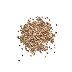 Organic EU Whole Hemp Seeds