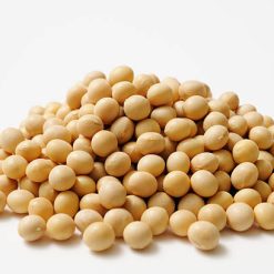 Organic Soya Beans