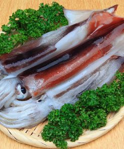 Small Whole Squid