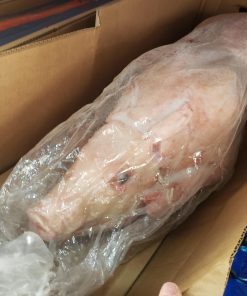 Frozen Piglet